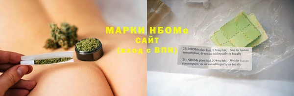 твердый Бердск